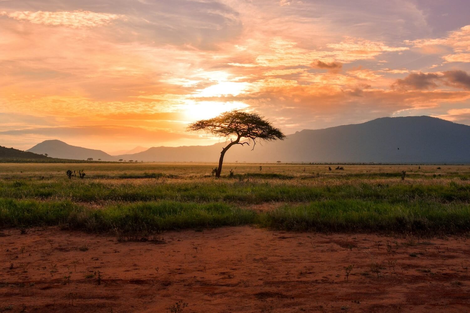 Some of the best community safaris in Africa