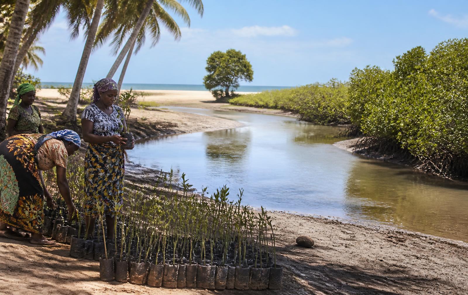 Climate change is hurting Kenyan women working in coastal tourism – they explain how